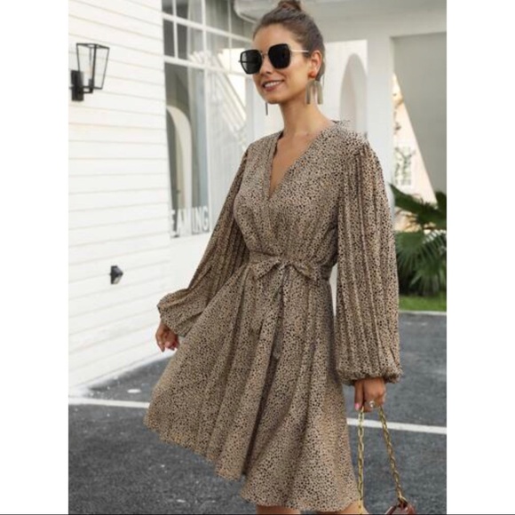 Leopard Print Front Belted Dress - Picture 3 of 5